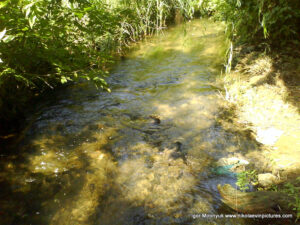 Парк Богоявленский в Октябрьском, в Николаеве.