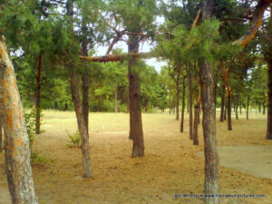 Песочный парк (парк Лески) в Николаеве.