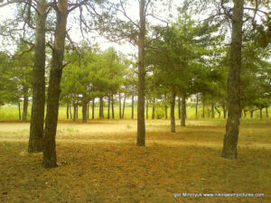 Песочный парк (парк Лески) в Николаеве.