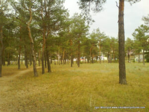 Песочный парк (парк Лески) в Николаеве.