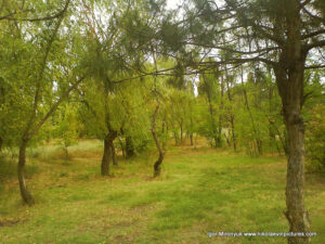 Песочный парк (парк Лески) в Николаеве.