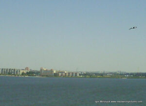 Фото птицы, пролетающей над Бугским лиманом, с видом на Намыв, в Николаеве.