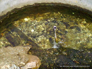 Родник в Богоявленском парке в Октябрьском, Николаев.