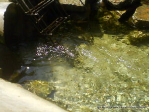 Родник в Богоявленском парке в Октябрьском, Николаев.