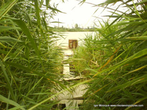 Рыбатский мостик на Лесковской косе в Николаеве.