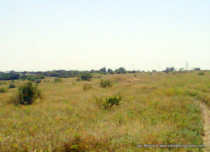 Пустырь Wonderland. Рельеф в Николаеве.