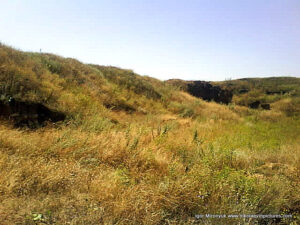 Пустырь Wonderland. Рельеф в Николаеве.