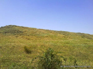 Wonderland. Рельеф в Николаеве.