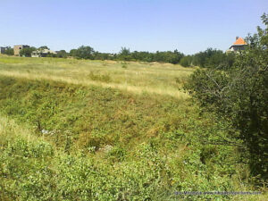 Wonderland. Рельеф в Николаеве.