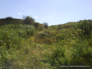 Пустырь Wonderland. Рельеф в Николаеве.