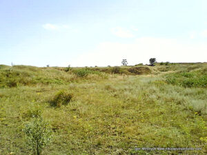 Пустырь Wonderland. Рельеф в Николаеве.