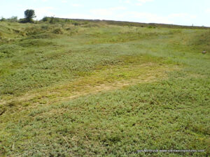 Пустырь Wonderland. Рельеф в Николаеве.