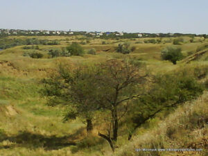 Пустырь Wonderland. Рельеф в Николаеве.