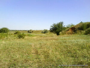 Пустырь Wonderland. Рельеф в Николаеве.