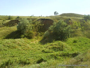 Пустырь Wonderland. Рельеф в Николаеве.