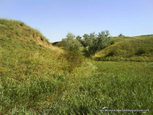 Пустырь Wonderland. Рельеф в Николаеве.