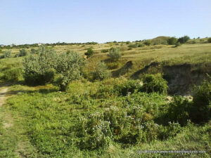 Пустырь Wonderland. Рельеф в Николаеве.