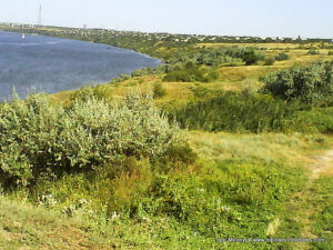 Пустырь Wonderland. Рельеф в Николаеве.