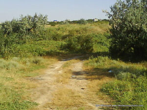 Пустырь Wonderland. Рельеф в Николаеве.