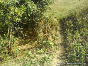 Пустырь Wonderland. Рельеф в Николаеве.