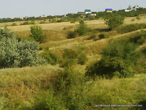 Пустырь Wonderland. Рельеф в Николаеве.