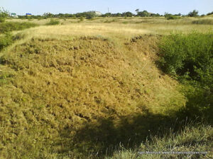 Пустырь Wonderland. Рельеф в Николаеве.