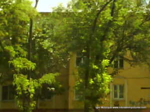 Здание с зелёными деревьями.