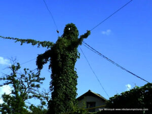 Столб, полностью обросший зелёными растениями в Николаеве.