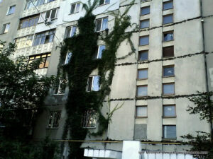 Зелёное здание с растениями, растущими на фасадной стене дома в Николаеве.