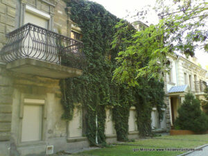 Зелёное здание с растениями, растущими на фасаде дома в Николаеве.