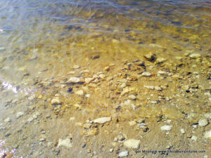 Каменистое дно и вода Южного Буга.