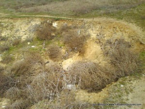 Оползень на прибрежной долине в Соляных, в Николаеве.