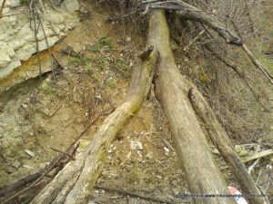 Улица Скалистая в Николаеве.