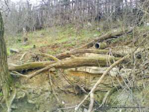 Улица Скалистая в Николаеве.