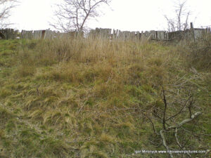 Улица Скалистая в Николаеве.