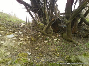 Улица Скалистая в Николаеве.