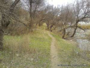 Улица Скалистая в Николаеве.