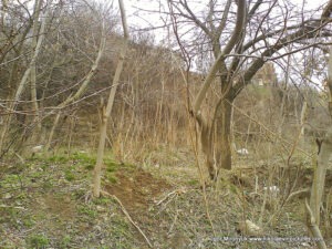 Улица Скалистая в Николаеве.