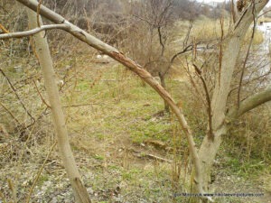 Улица Скалистая в Николаеве.