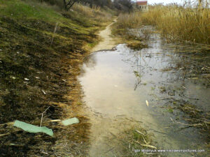 Улица Скалистая в Николаеве.