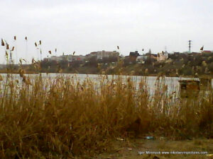 Улица Скалистая в Николаеве.