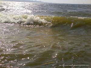 Волны Южного Буга