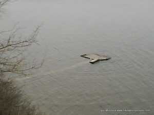 Затопленный рыбацкий мостик