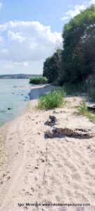 Берег Большой Коренихи, возле водопада, в Николаеве.