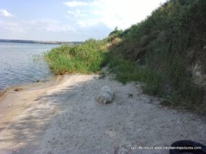 Берег от пляжа "Первый" до водопада в Большой Коренихе.