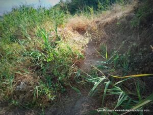 Берег от пляжа "Первый" до водопада в Большой Коренихе.