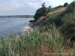 Берег от пляжа "Первый" до водопада в Большой Коренихе.