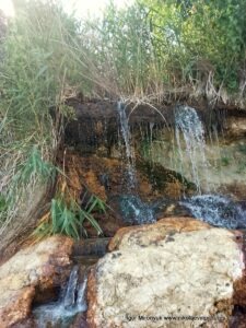 Водопад в Большой Коренихе, в Николаеве.