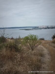 С "Виноградников" видно Лесковкую косу.