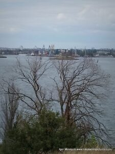 Вид на Намывский остров с "Виноградников".